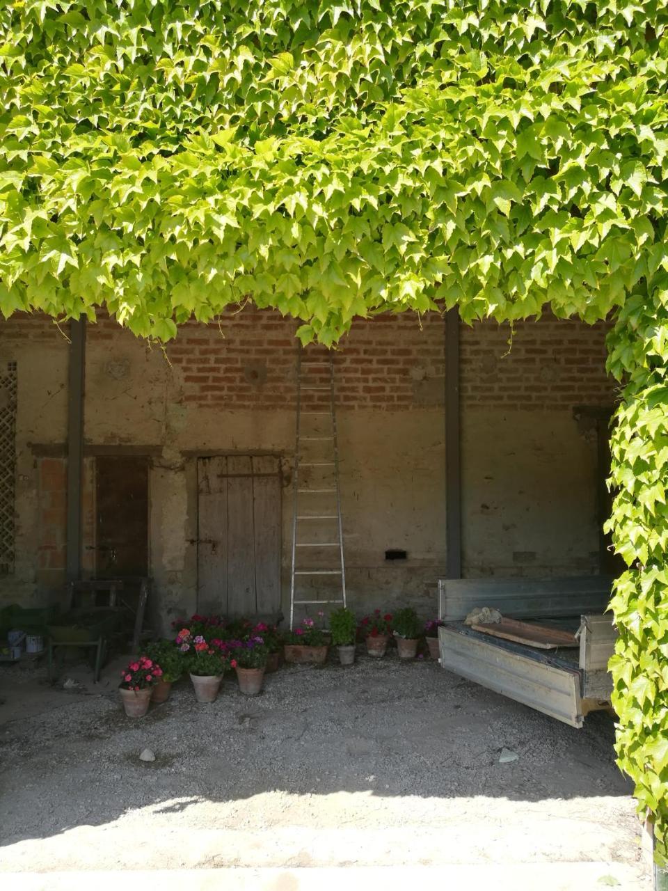 Agriturismo Pian Del Tevere Torgiano Exterior photo